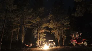 Sequoia National Forest Overlanding, camping and cooking