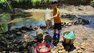 catch fish, The orphan boy khai blocked the stream and stacked rocks to make a trap to catch fish