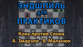 Шахматы. Эндшпиль для практиков. Слон против коня. А. Змарзли – В.Маланюк