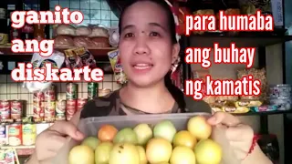 PARA TUMAGAL ANG BUHAY NG KAMATIS GANITO ANG DISKARTE