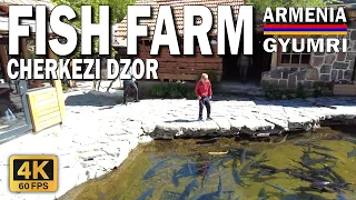 Cherkezi Dzor - Fish Farm and Restaurant, Gyumri / Armenia, Рыбная ферма и ресторан, Гюмри 4K 60fps