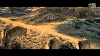 Wolf Totem 2015 trailer