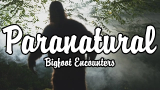 Bigfoot Encounters - S01E04 - Paranatural