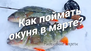 Ловля ОКУНЯ в последний лед. ГДЕ и КАК ЛОВИТЬ???