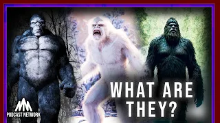 All Things BIGFOOT Podcast! The Sasquatch(s) We All Know and Love, the History, The Lore, and More!