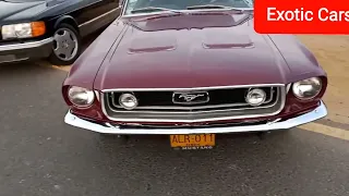 Exotic & Classic Cars | Ford Mustang | Mercedes | Volkswagen | B M W | Austin Martin | Chevrolet...
