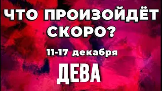 ДЕВА 🍀Таро прогноз на неделю (11-17 декабря 2023). Расклад от ТАТЬЯНЫ КЛЕВЕР.