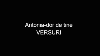 Antonia - Dor de tine (VERSURI / LYRICS )