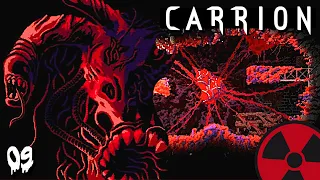 CARRION - #09: Am Ende ruft die Freiheit | Gameplay German