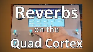 Getting to Know the Reverbs on the Quad Cortex