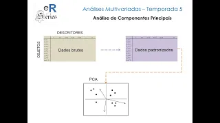 easyR Séries Análises Multivariadas: Gráfico da PCA e interpretação (T5 | ep 5)