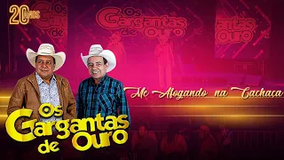 Os Gargantas De Ouro Me Afogando na Cachaça DVD 20 Anos (Ao Vivo)