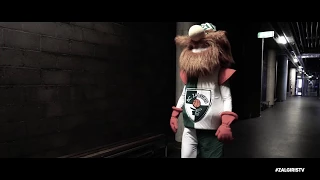 Zalgiris Kaunas mascot Zalgirinis is ready for a new season!