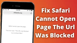 safari cannot open the page the url was blocked by a content filter iOS 14