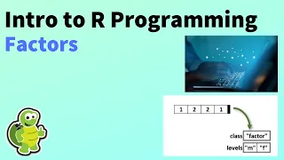 R Programming: Introduction: Factors (R Intro-04)