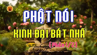 Phật Nói Kinh Đại Bát Nhã Ba La Mật Đa - Kinh Kim Cang (PHẦN 1/2)