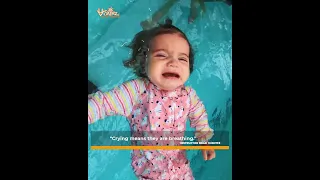 UPF Baby Swimwear | Teach Your Babies How to Swim Properly | Infant Swimming Resource | Brad Hurvitz
