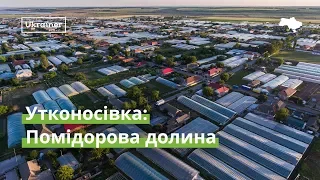 Utkonosivka: Tomatoes Valley · Ukraїner