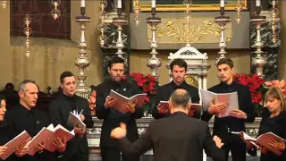 En natus est Emmanuel (Michael Praetorius) - Schola Cantorum Prof. Paolo Guglielmetti