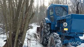 пришли морозы, съездил в лес дорожку протоптать !( по дрова)😉