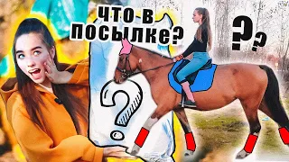 РАСПАКОВКА Конной ПОСЫЛКИ ! С Примеркой || HWH Store