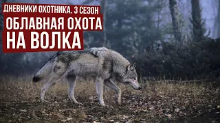 ОБЛАВНАЯ ОХОТА НА ВОЛКА в  Вологодской обл. / Дневники охотника #3 / #7