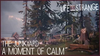 A Moment of Calm - The Junkyard