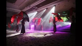 2016 World Bellydance Convention Highlight