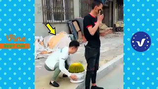 AWW Best FUNNY Videos 2020 ● TOP People doing stupid things Part 14