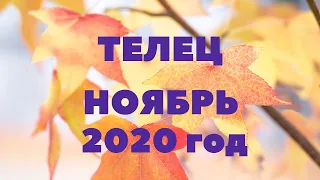 ТАРО-ПРОГНОЗ. ТЕЛЕЦ. НОЯБРЬ 2020Г.