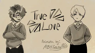 TRUE LOVE (P!nk) - Draco/Harry Animatic