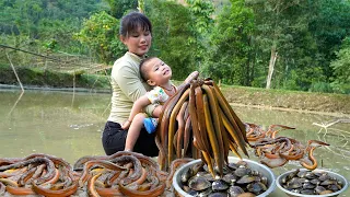 Single girl harvests Chai Chai eels - Goes to Lam Binh market to sell | Em Tên Toan