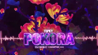 Topky - Pokora (DJ SKIBA & CIOOSTEK REMIX)