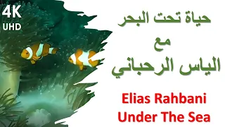 Elias Rahbani Under The Sea حياة تحت البحر مع الياس الرحباني