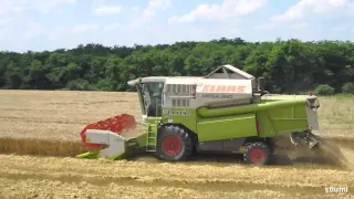 Agroszász Kft. [2010] Nyári aratás [Film, 2. rész]