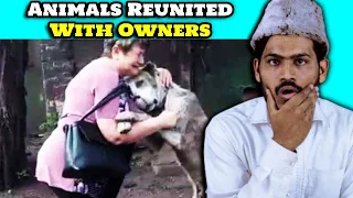 Villagers React To Animals Reunited With Owners AFTER YEARS ! Tribal People React To Animal Reunited