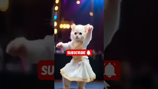 funny cat dance#cute #cat #funny #funnyshorts #ytshorts #viral  #rajkusmy_patli_kamariya