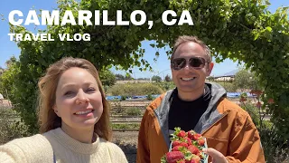 CAMARILLO CALIFORNIA - TOP THINGS to SEE and DO #travelvlog