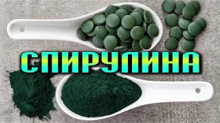 СПИРУЛИНА - кладезь ПОЛЕЗНЫХ ВЕЩЕСТВ для ЗДОРОВЬЯ, МОЛОДОСТИ И ДОЛГОЛЕТИЯ