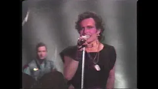 Adam Ant 1982 - Desperate but not Serious on Solid Gold