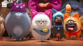 The Secret Life Of Pets 2 (9/10) | Crazy Cat Lady goes shopping | Cartoon For Kids