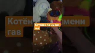 Котёнок по имени гав