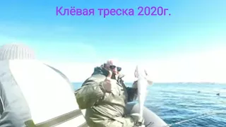 РЫБАЛКА в БАРЕНЦЕВОМ МОРЕ. ВОСТОЧНЫЙ КИЛЬДИН. "The beauty of the Barents sea and a little fishing."