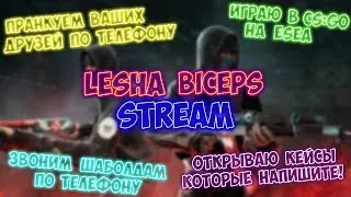 Lesha biceps Stream OPEN CASE РОЗЫГРЫШИ +16 Нереальные видосы с Кисами на стриме)