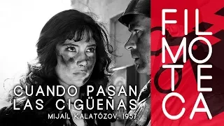 Introducción a CUANDO PASAN LAS CIGÜEÑAS - Filmoteca de Sant Joan - HISTORIA DE LA URSS - OCT 2017