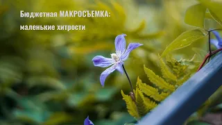 Бюджетная МАКРОСЪЕМКА: маленькие хитрости