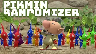 We Randomize Pikmin for the Gamecube - UZR Part 8