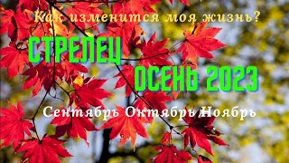 СТРЕЛЕЦ♐ОСЕНЬ 2023:СЕНТЯБРЬ ОКТЯБРЬ НОЯБРЬ🌈КАК ИЗМЕНИТСЯ МОЯ ЖИЗНЬ?💫ГОРОСКОП ТАРО Ispirazione