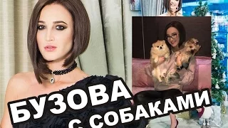 Ольга Бузова и ее собаки