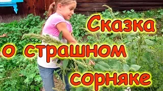 Сказка о страшном сорняке и о дружной команде. (08.17г.) Семья Бровченко.